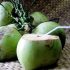 Ini 4 Manfaat dari Air Kelapa yang Bisa Bikin Wajah dan Rambut Lebih Sehat