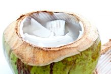 Perbedaan Nutrisi Kelapa Muda dengan Kelapa Tua