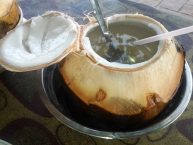 Tips Hilangkan Batu Empedu dengan Air Kelapa Hijau Bakar